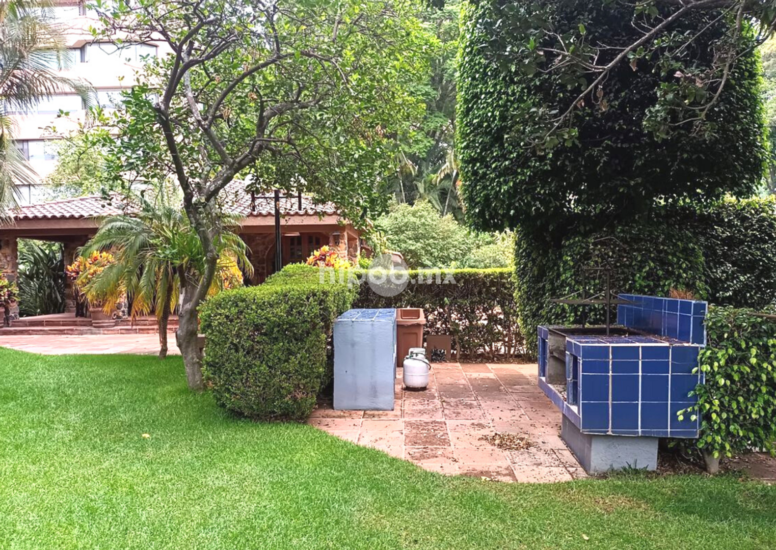 image 32