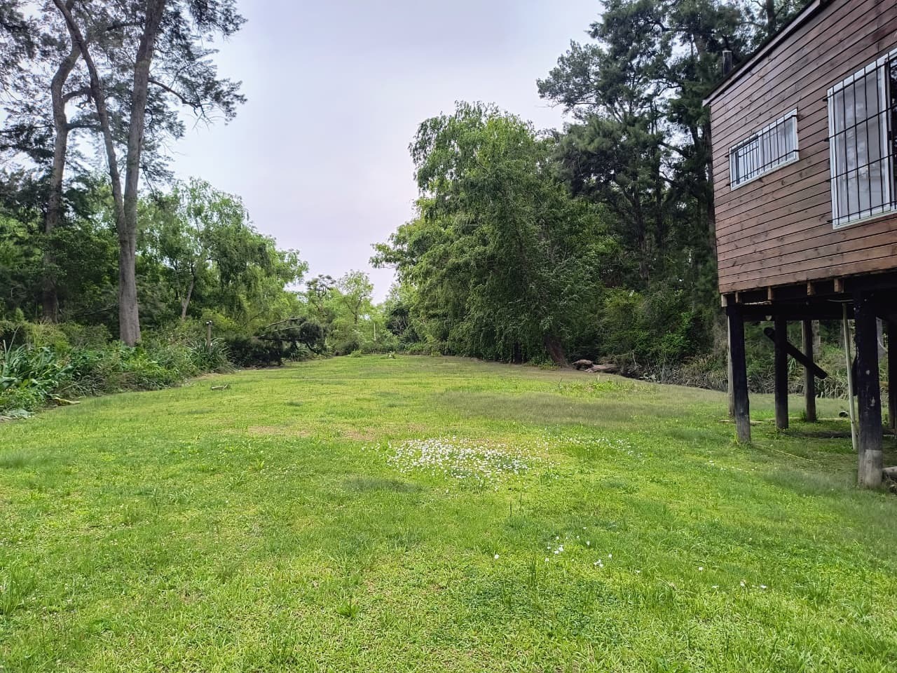 image 14
