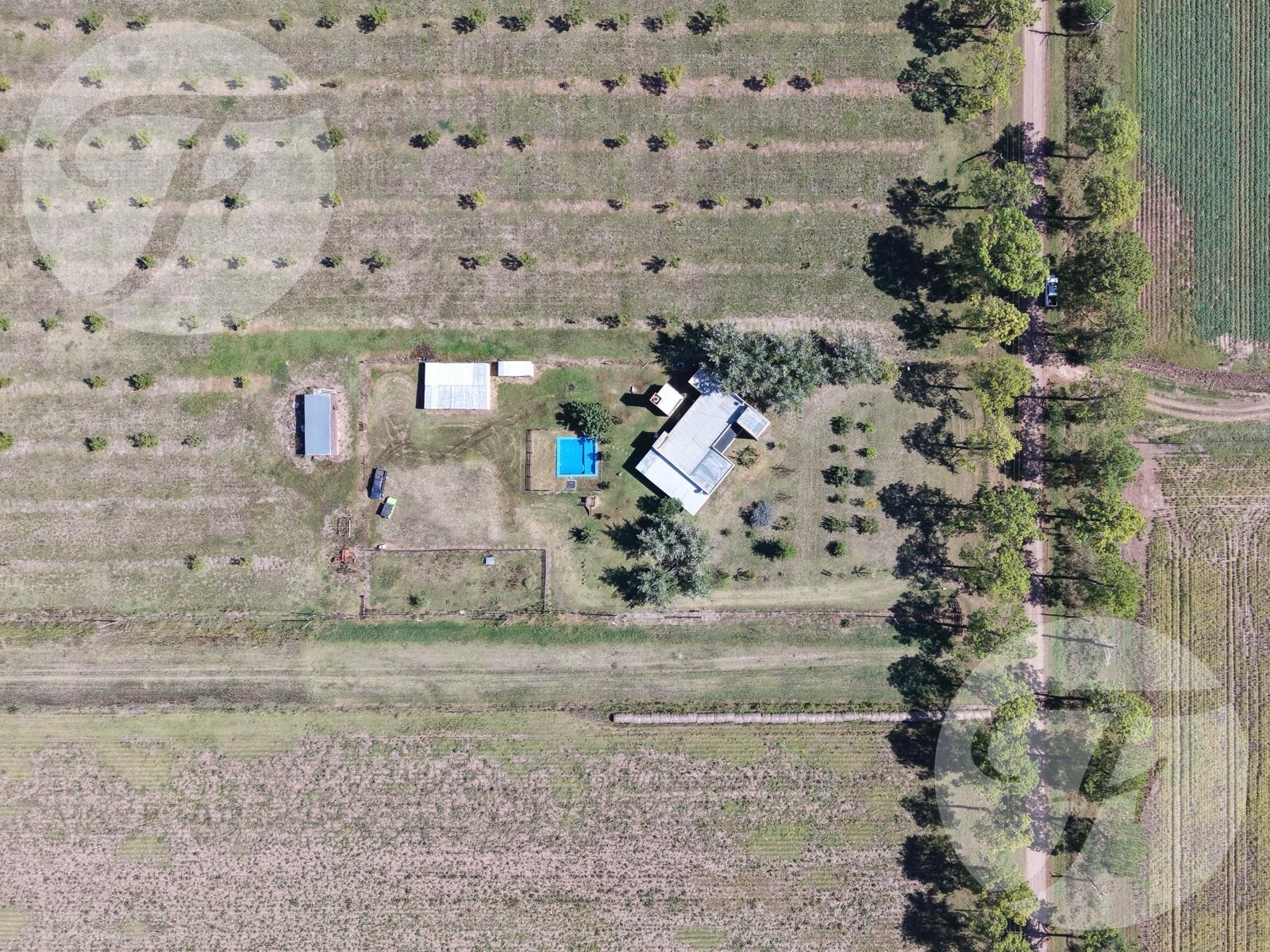 image 45