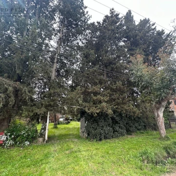 Casa  4 amb. /  Quinta  1200 m2 de terreno -  BERAZATEGUI - VENTA