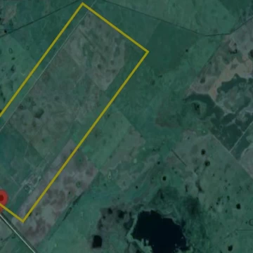 Oportunidad en Saladillo: 488 Has con Casa y Silos – Ruta 91 km 20