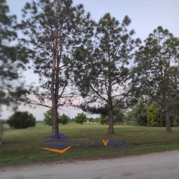 1773941053.jpg