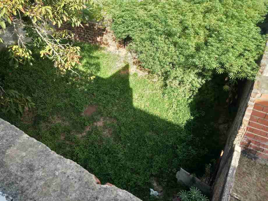 image 24