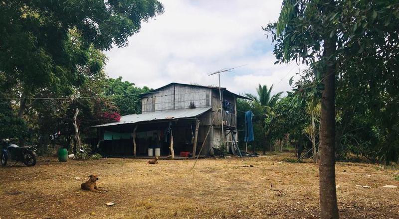 image 14