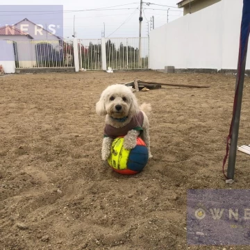 VENTA TERRENO PUNTA BLANCA, URB CERRADA (RS)