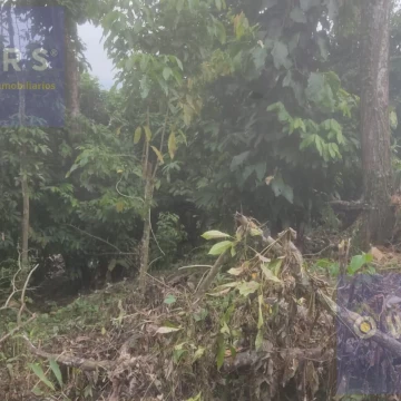 VENTA FINCA CANTON URDANETA / PROV. LOS RIOS 3.6 HCTS. (AGE)