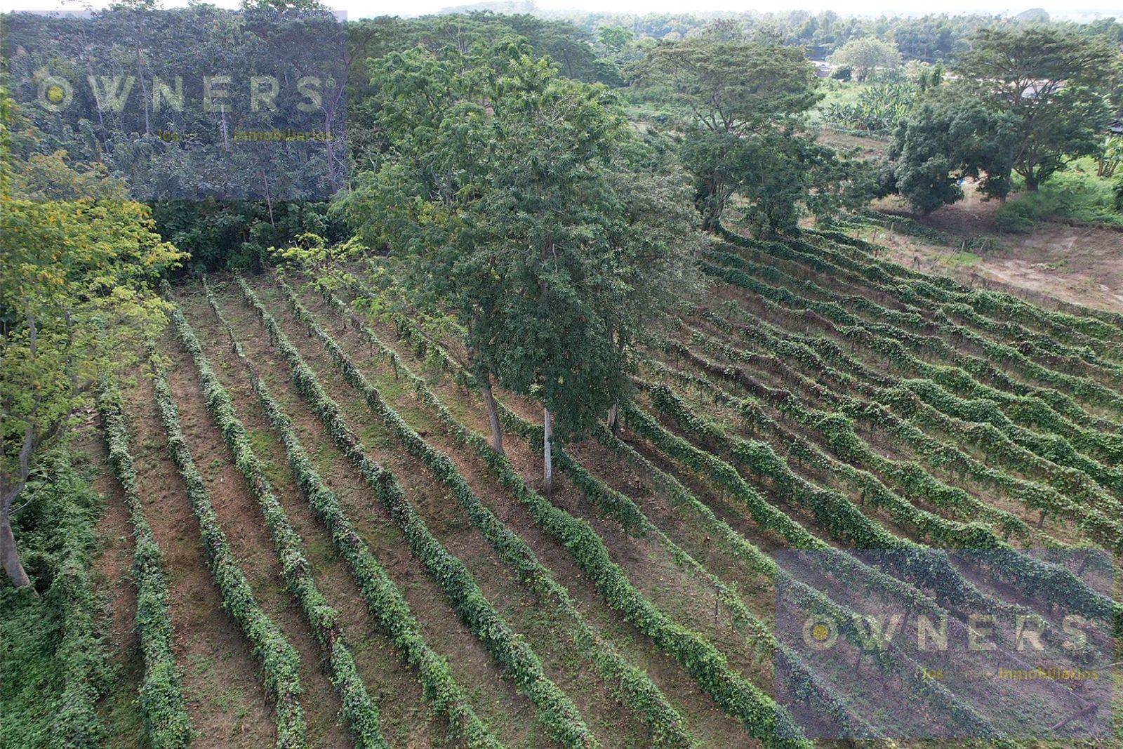 image 14