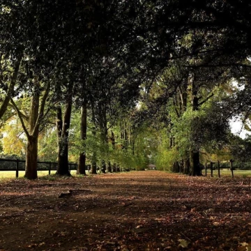 Terreno al Bosque en Venta - Almahué - La Lonja  Pilar