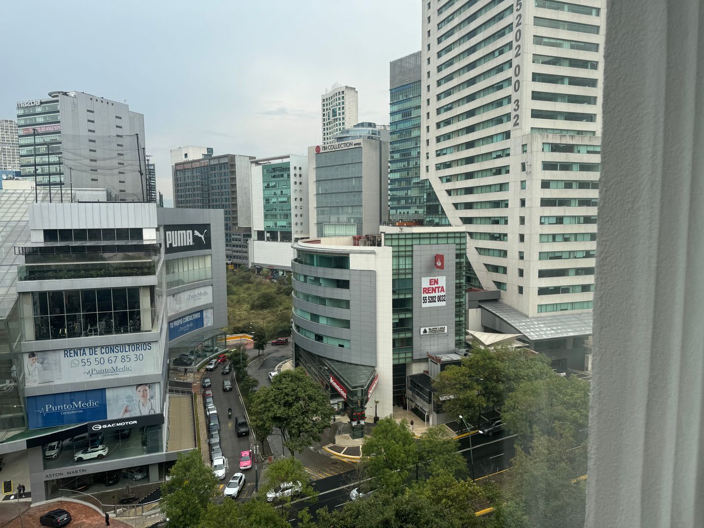 IMG_2718.jpeg