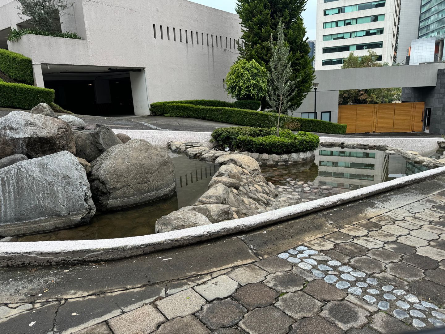 IMG_2813.jpeg