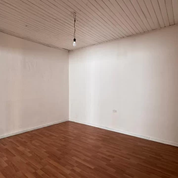1774038256.jpg