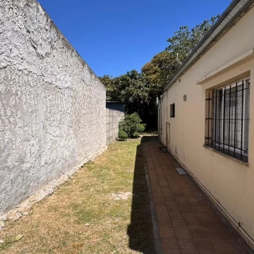 1774038263.jpg