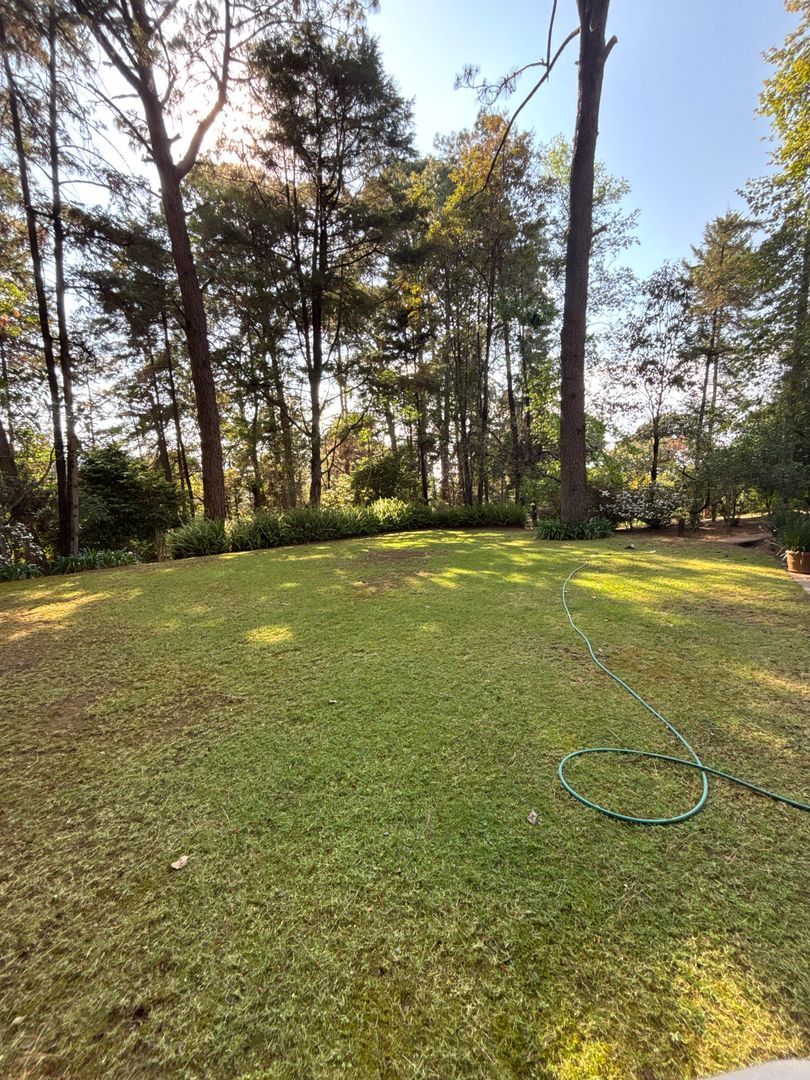 DJI_20260320_161821_764.JPG