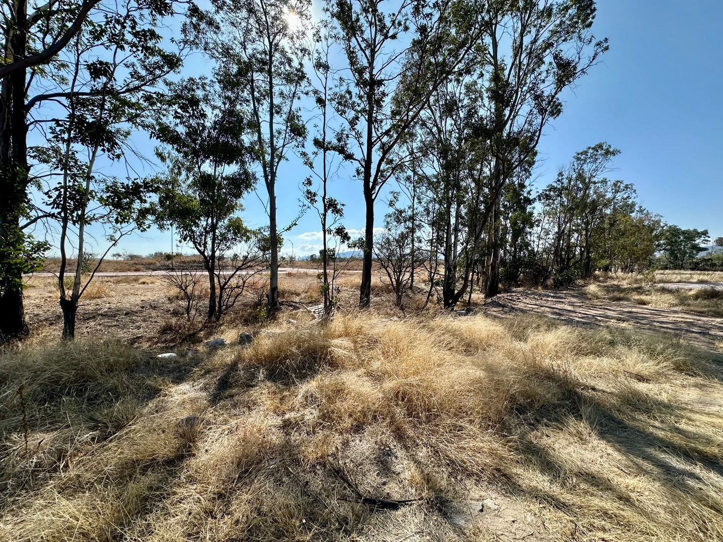 IMG_3113.jpeg