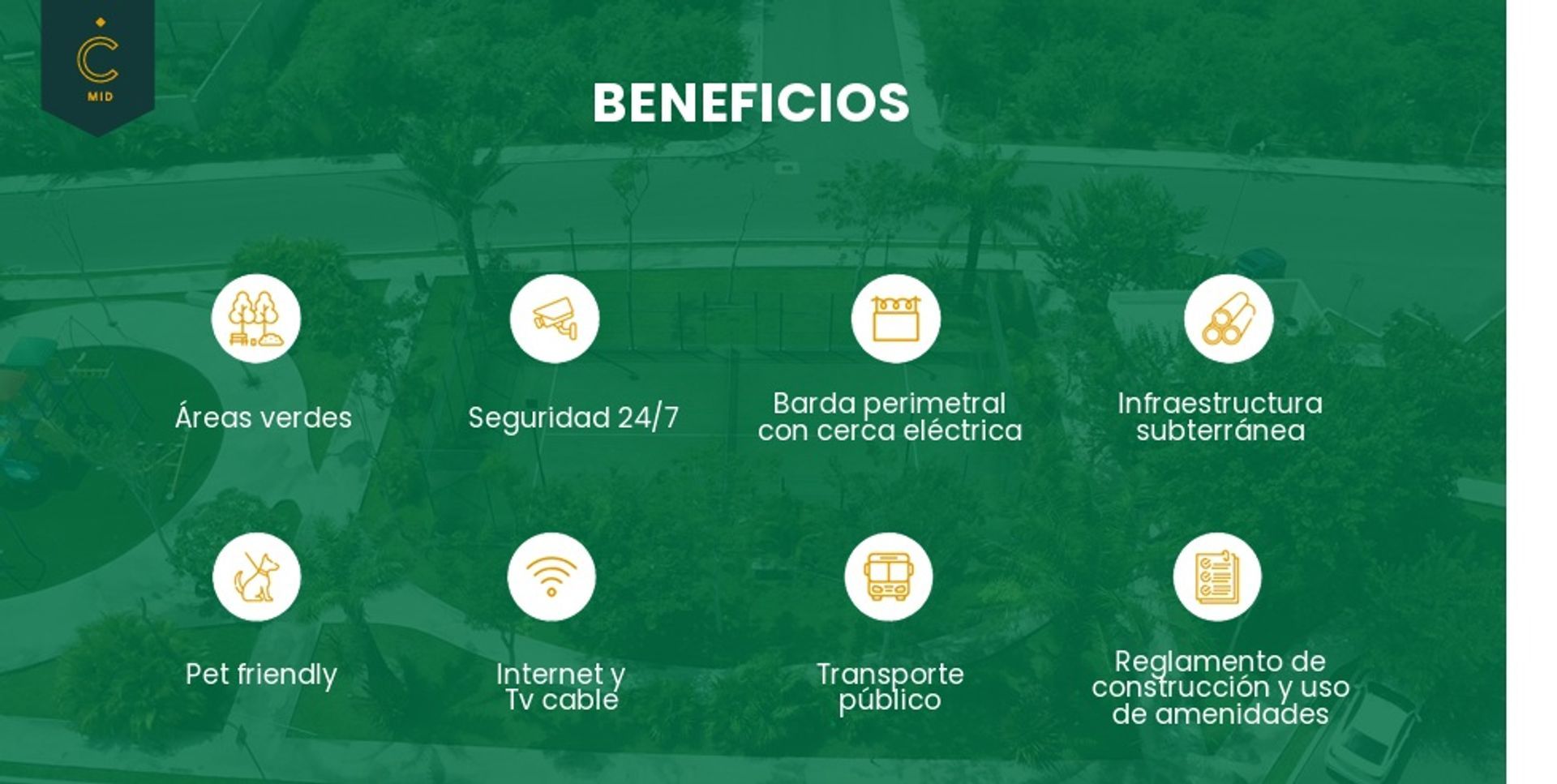 beneficios.jpg