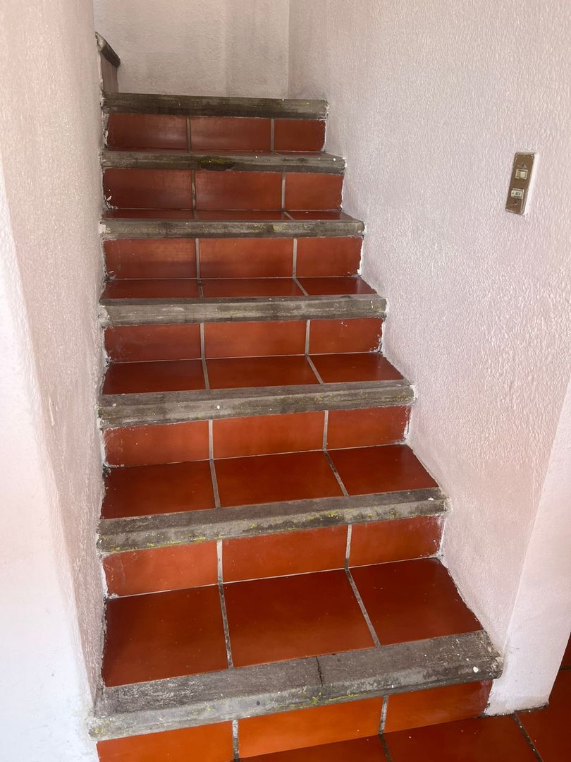 1001557584.jpg