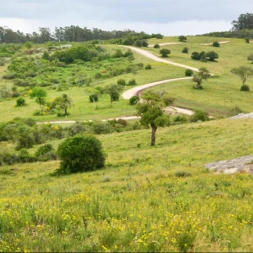 Chacra en Garzón