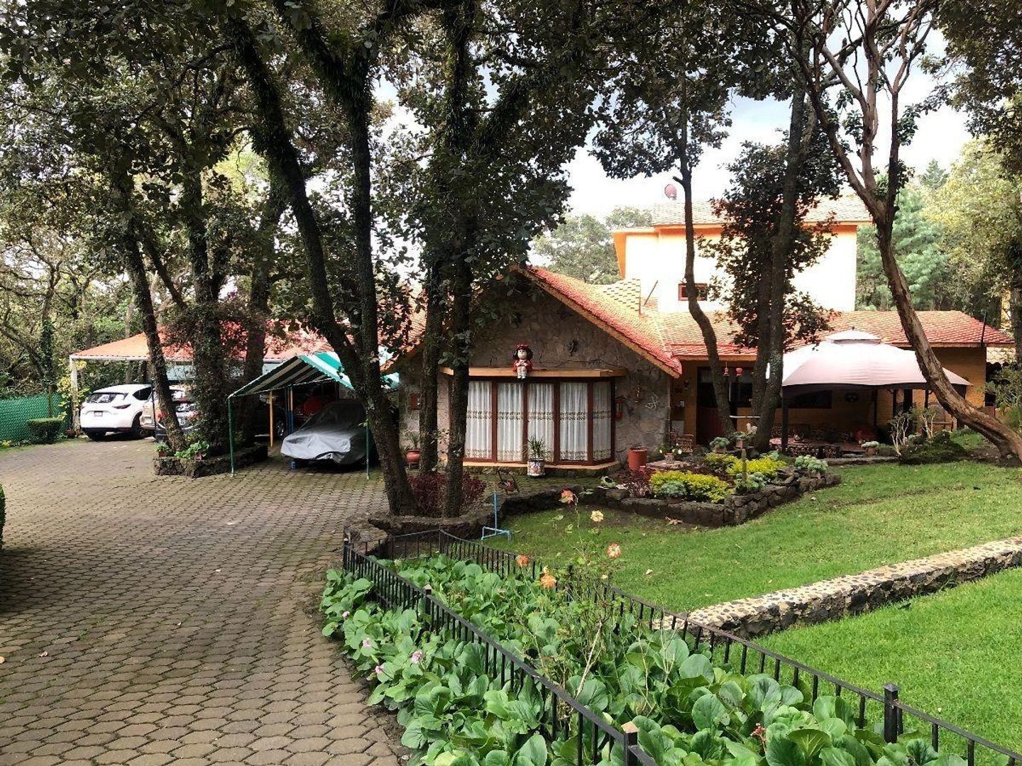 matapulgas-tlalpuente-tlalpan-df-cdmx-25575146-foto-01.jpg