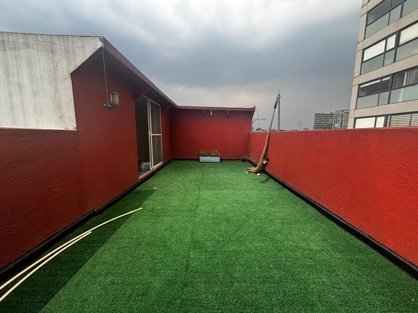 ROOF.jpg