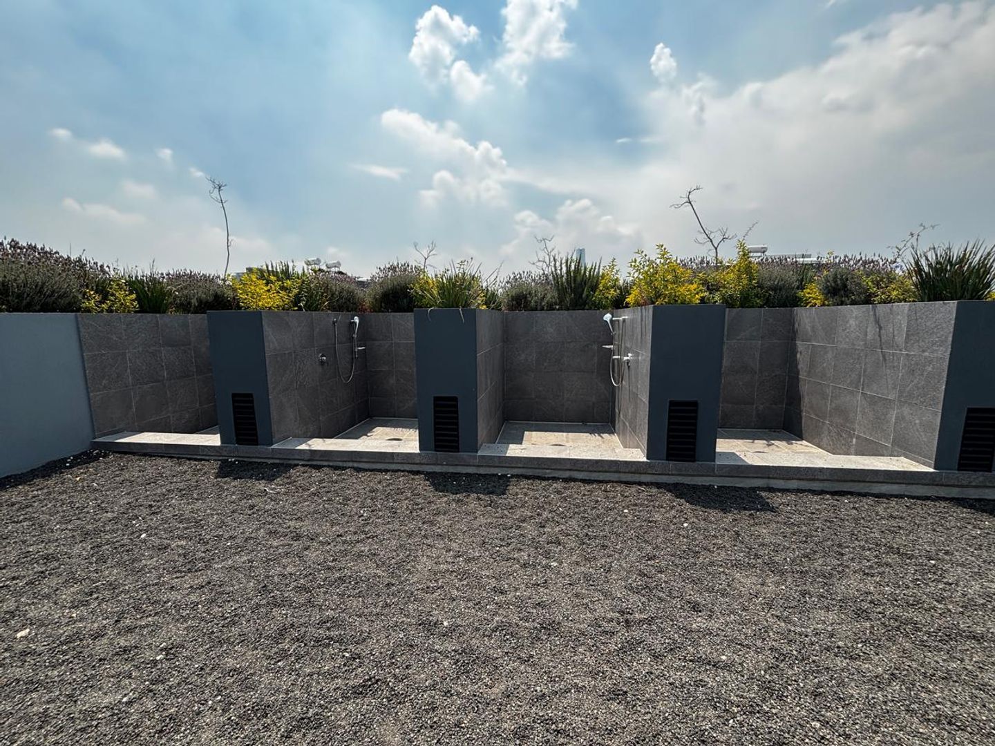 area de perros 2.jpg