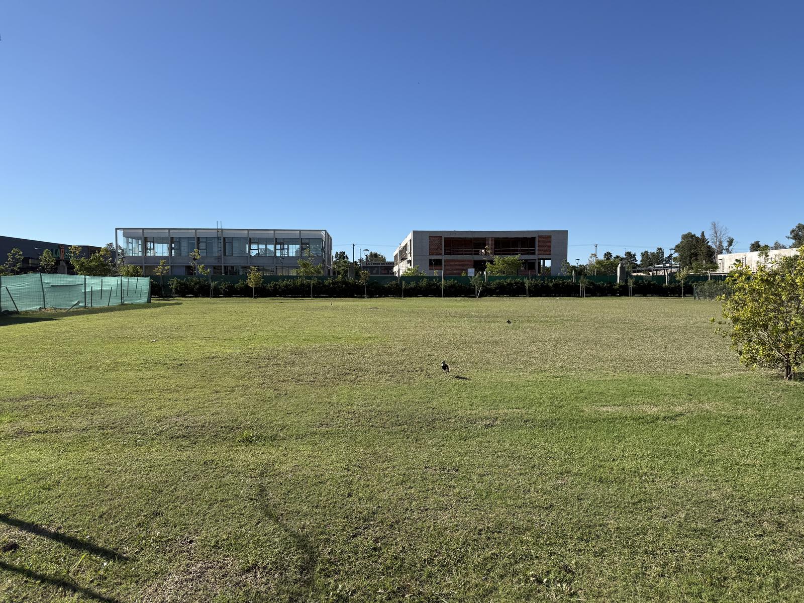 image 33