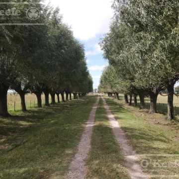 Campo Mixto en venta de 227 has en Ranchos