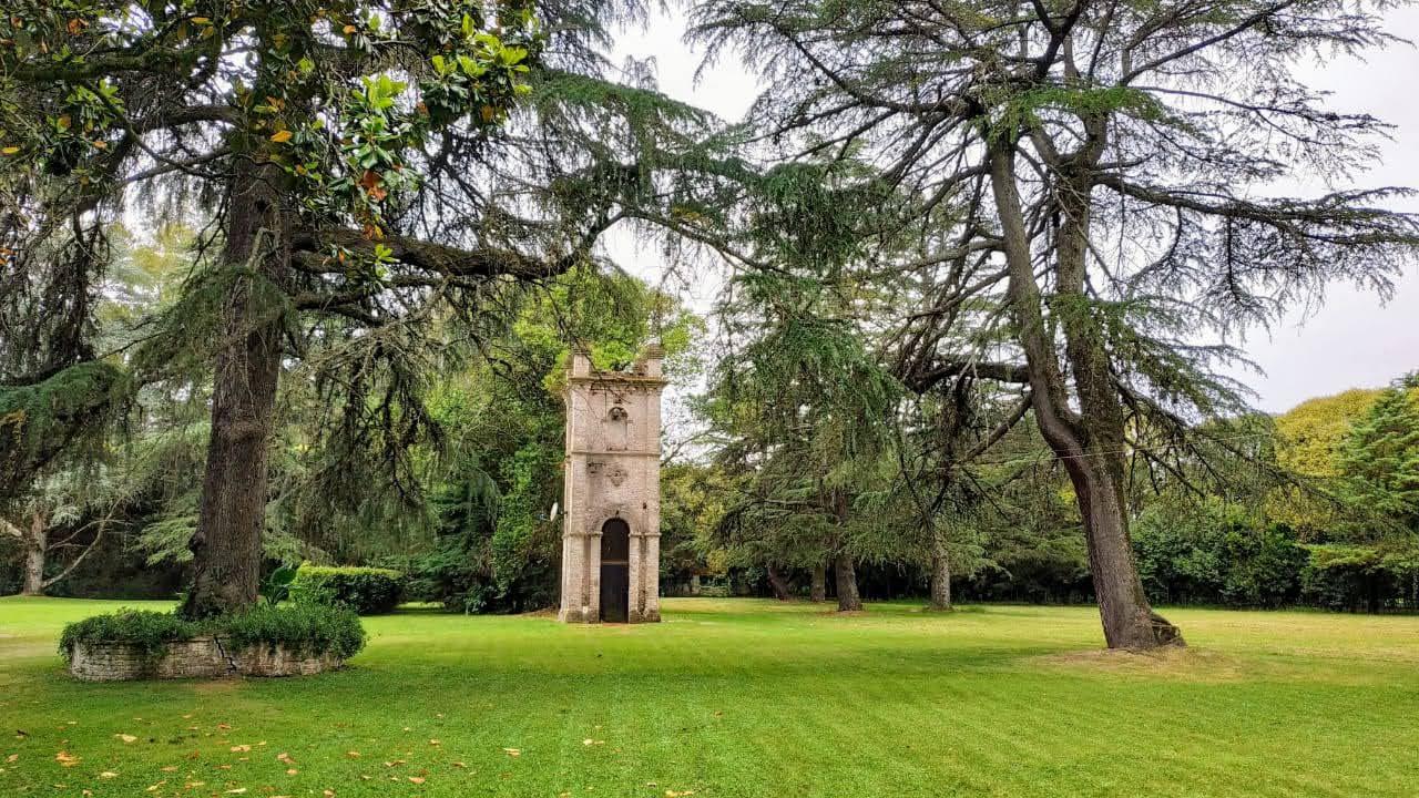 image 12