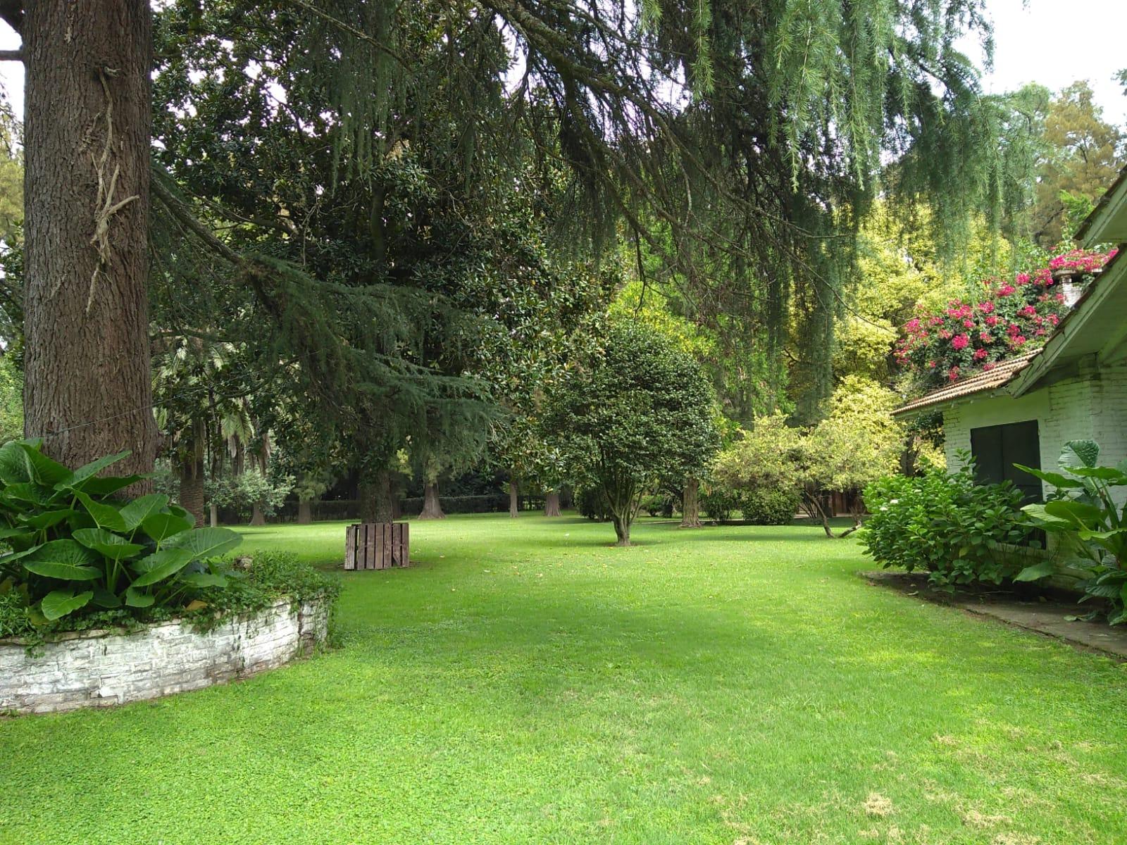 image 28