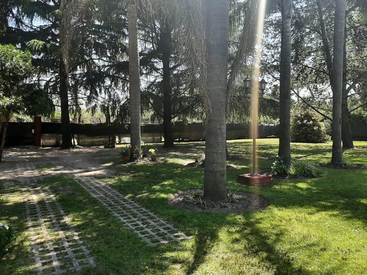 image 27