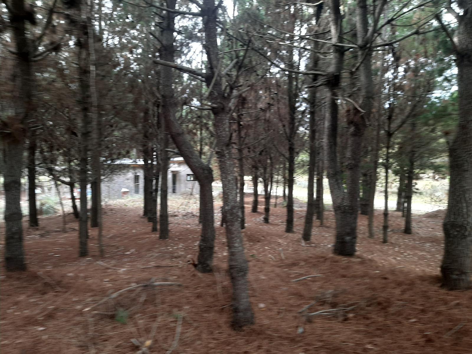 image 14