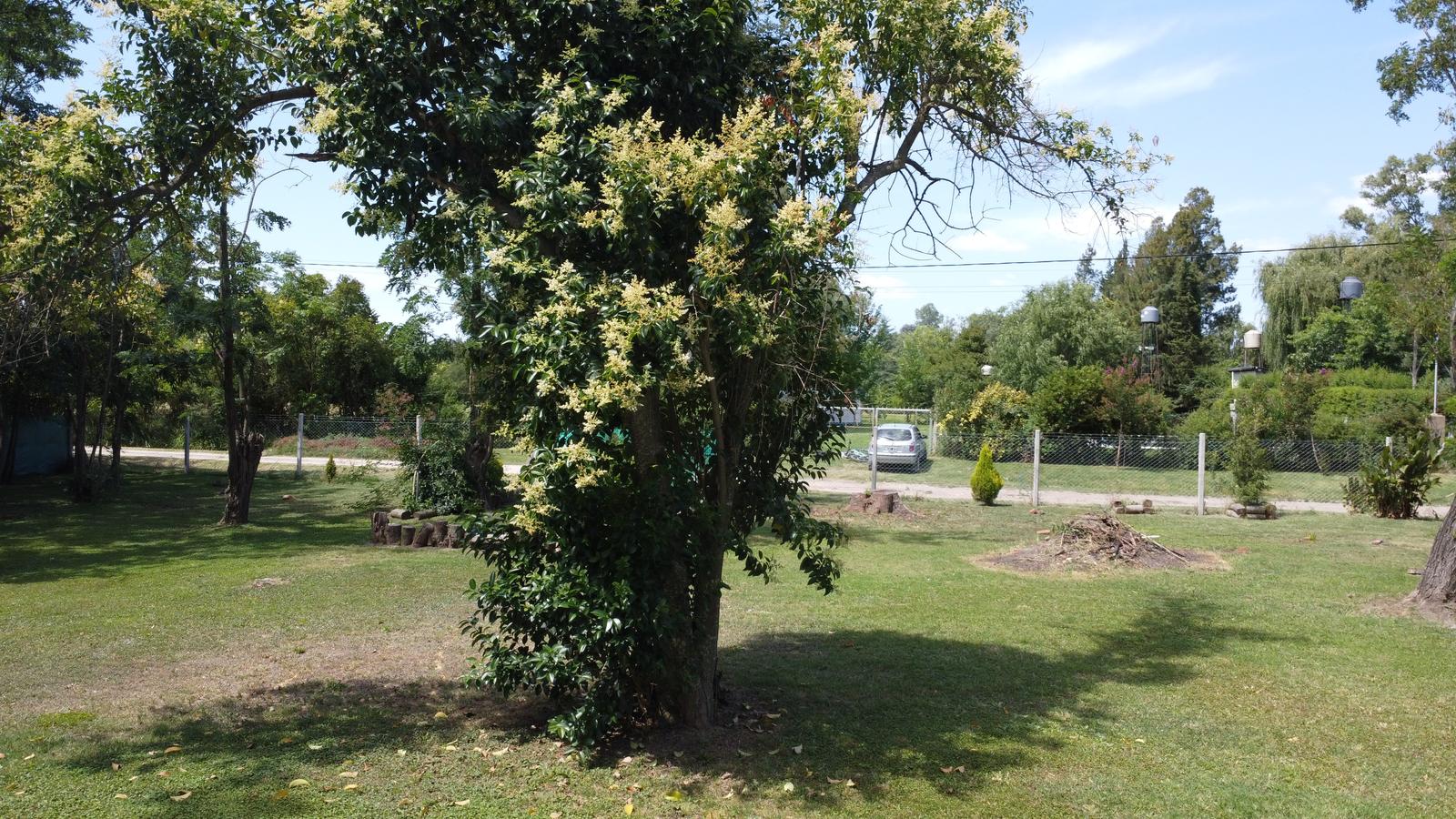 image 31
