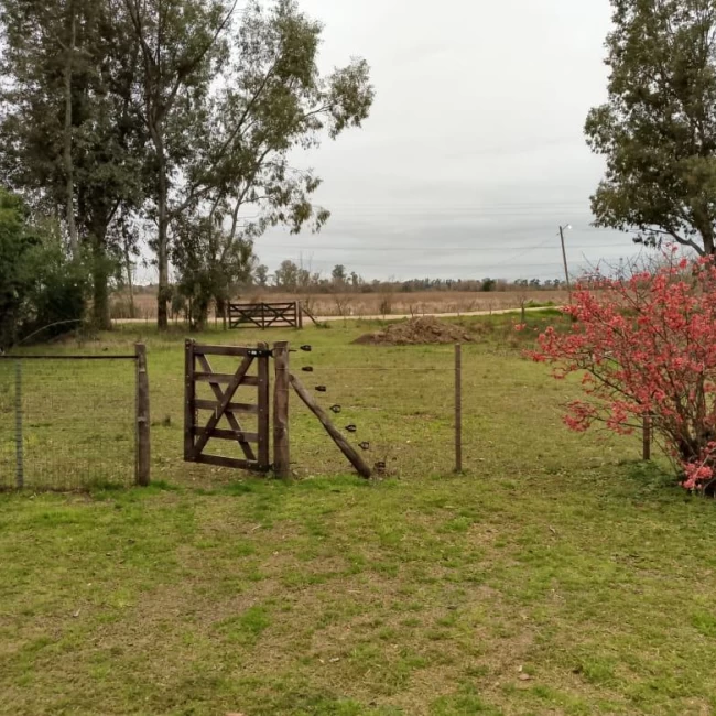 Lote de Terreno En Venta  zarate