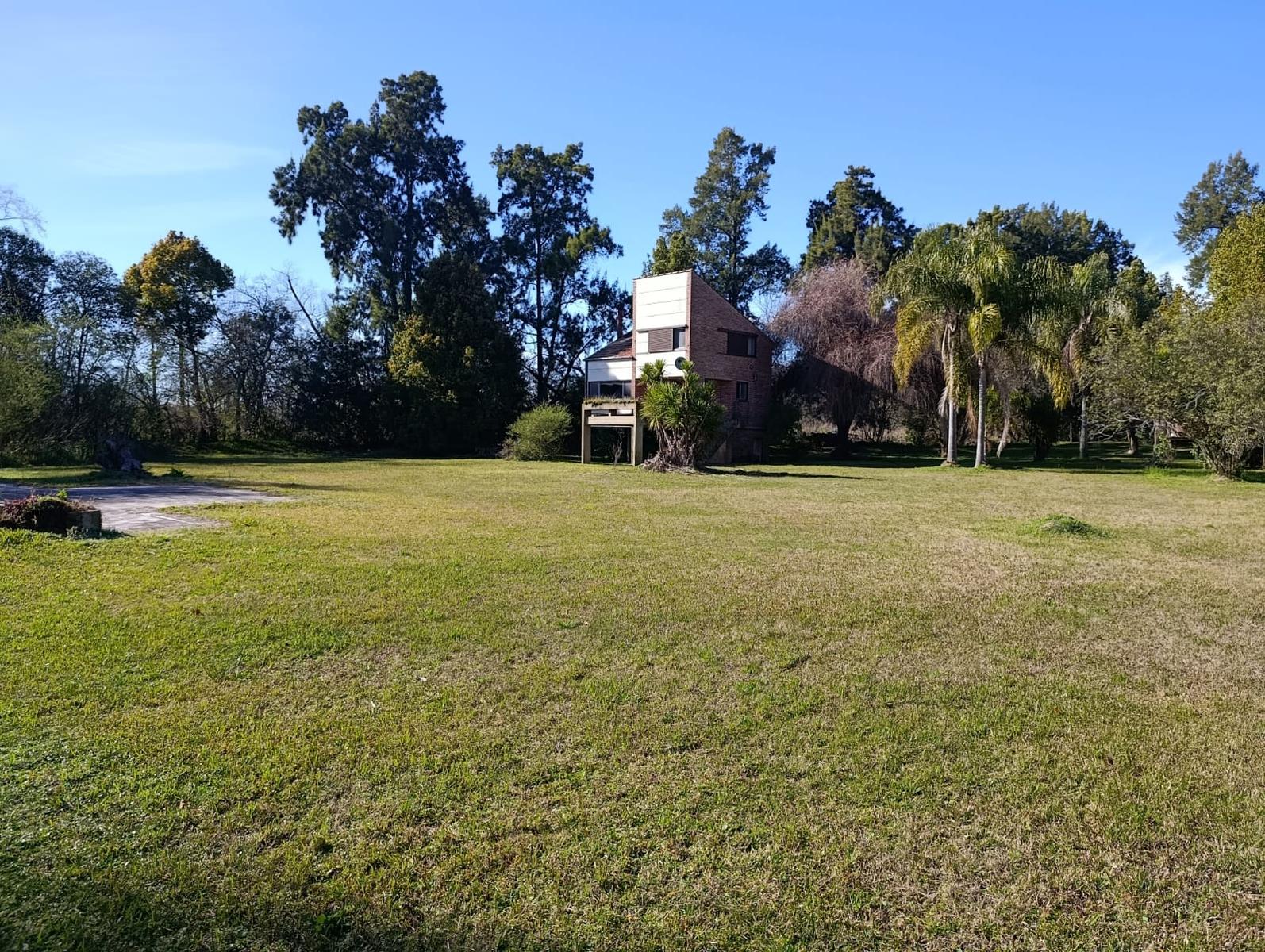 image 41