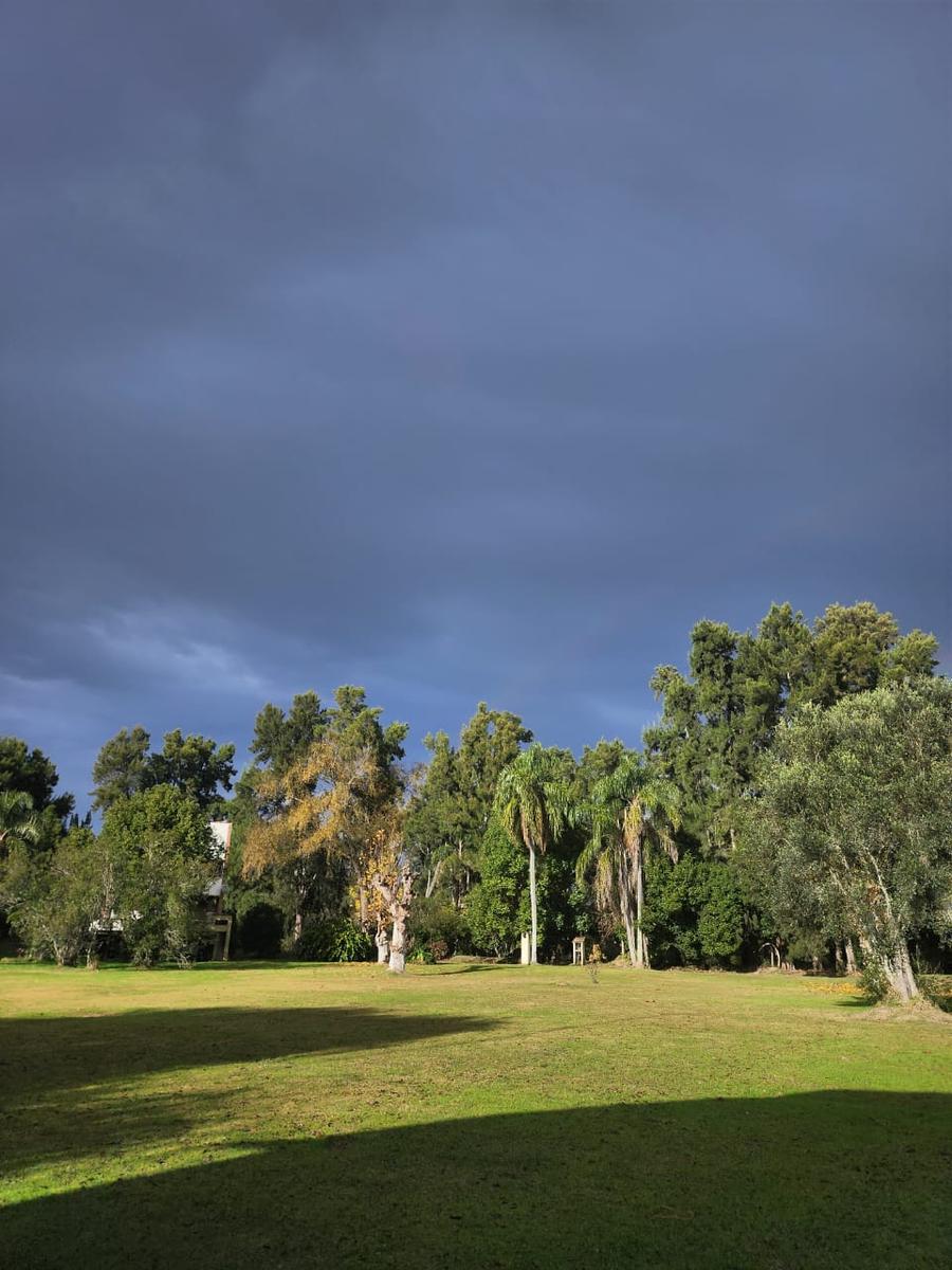 image 44