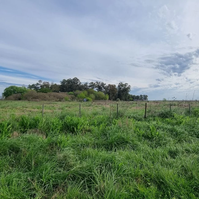 Campo de 41250 m² en venta