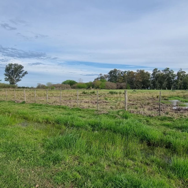 Campo de 41250 m² en venta
