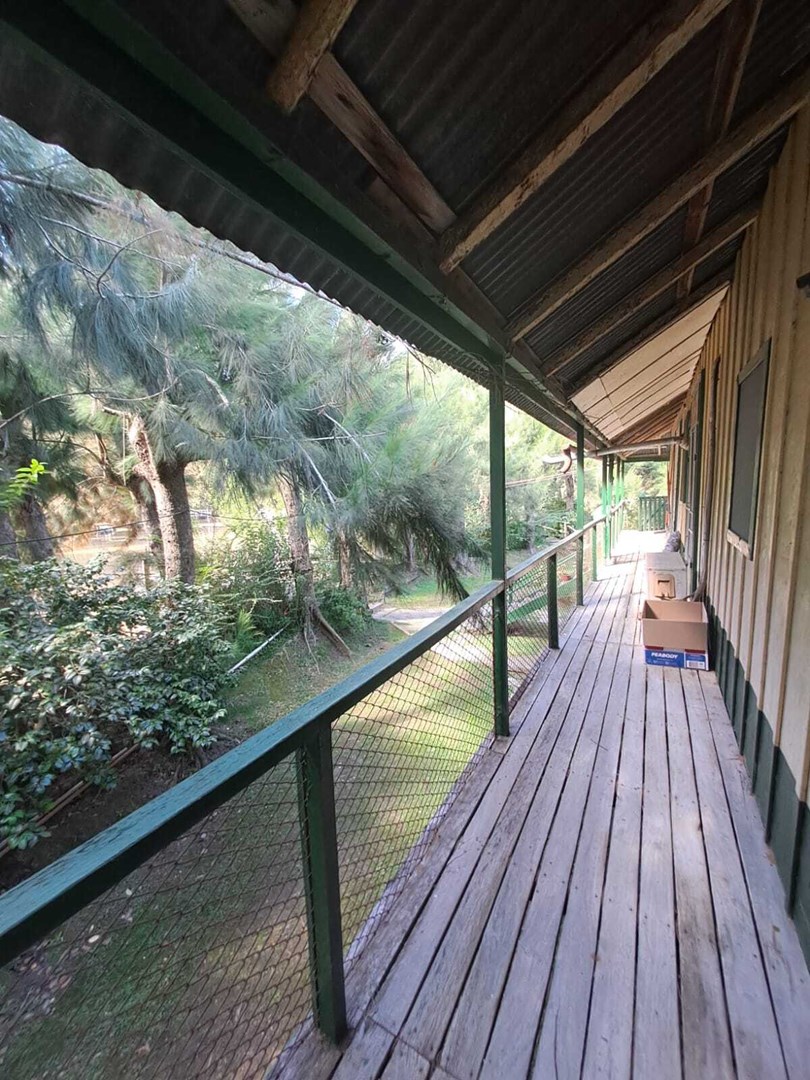 image 19