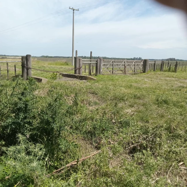 TERRENO EN VENTA MIRAMAR  GENERAL ALVARADO