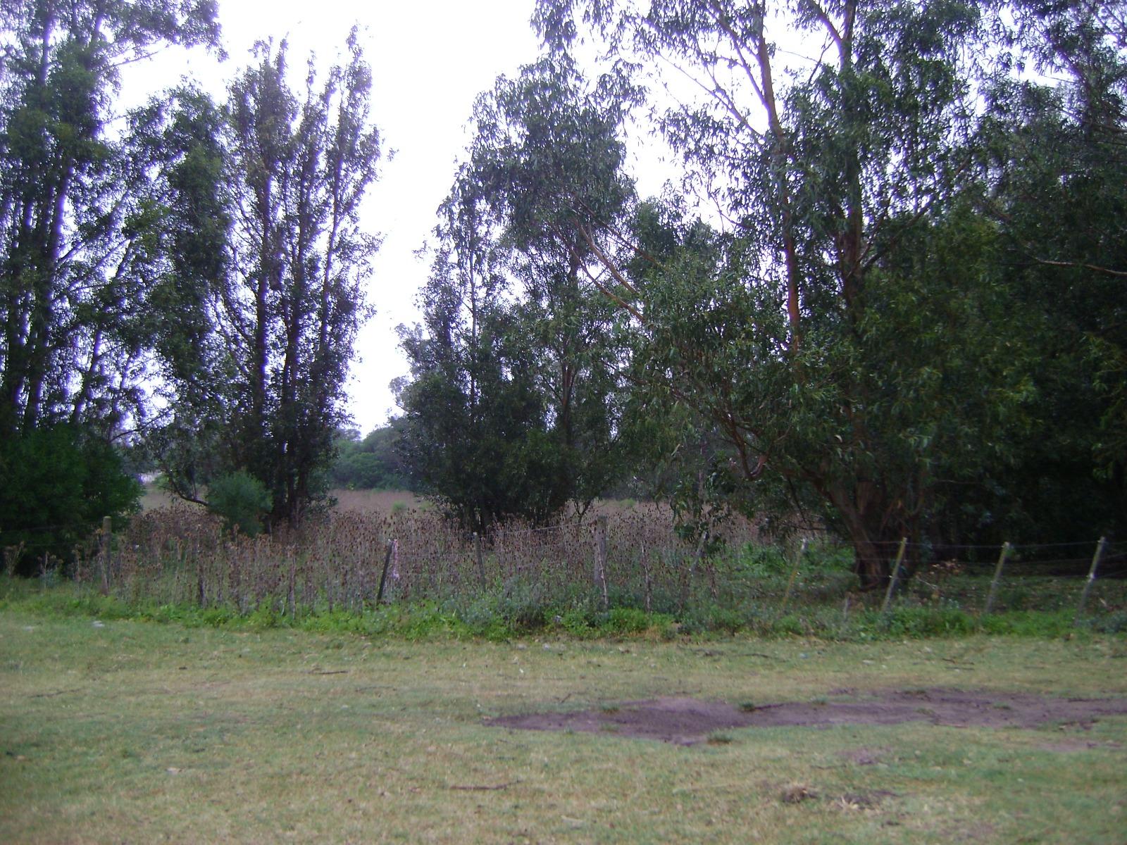 image 14