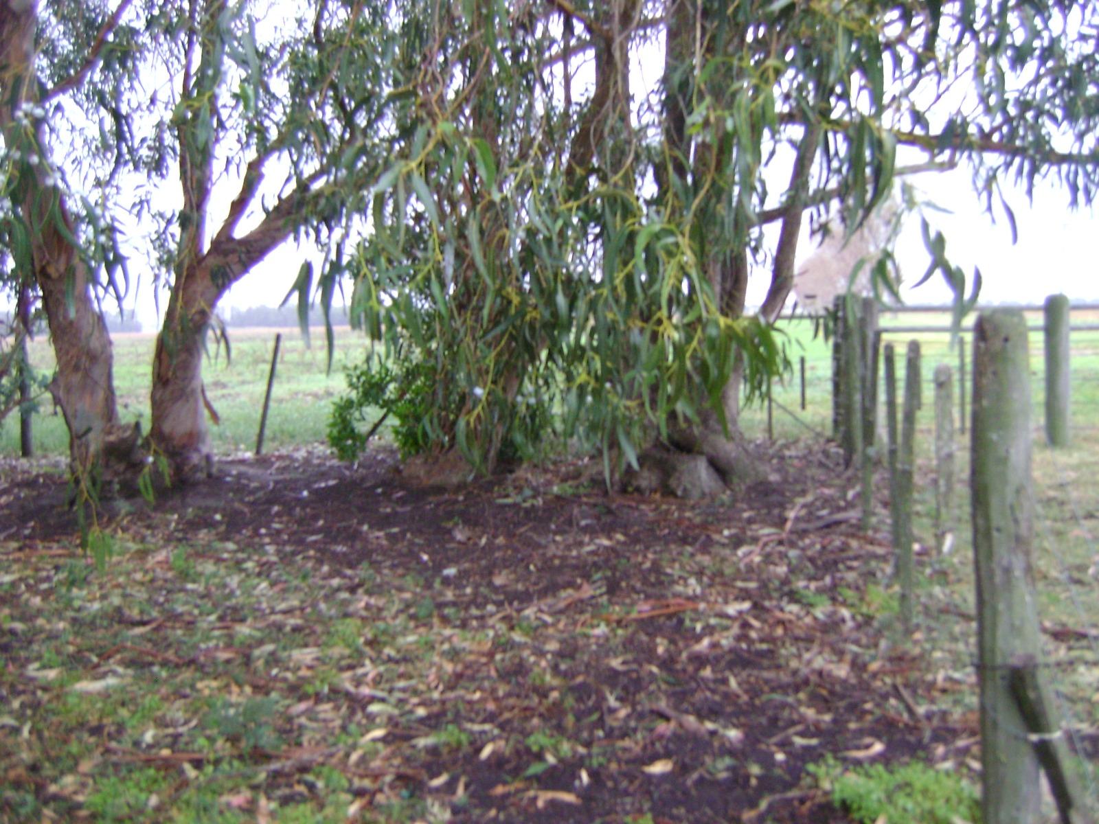 image 15