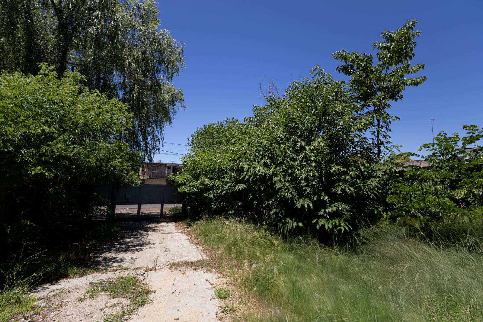image 45