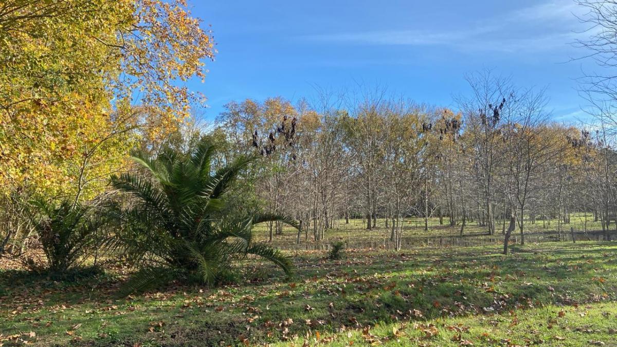 Lote de 6.700 m² en Chacras de San Pablo, foto 3