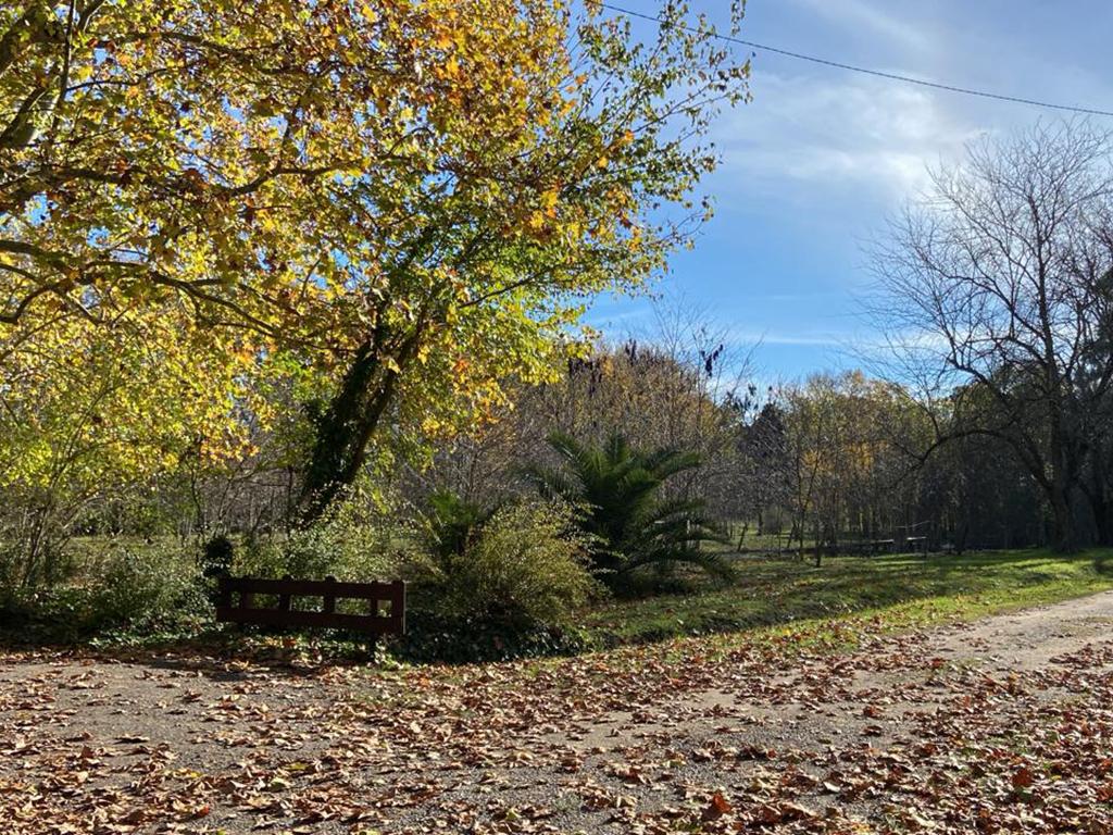 Lote de 6.700 m² en Chacras de San Pablo, foto 4