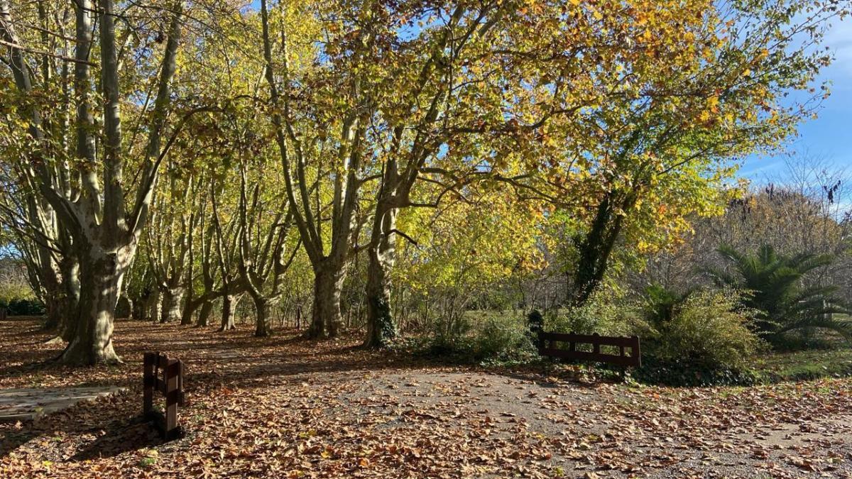 Lote de 6.700 m² en Chacras de San Pablo, foto 5