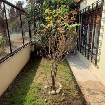 VENTA CASA 5 AMBIENTES EL PALOMAR