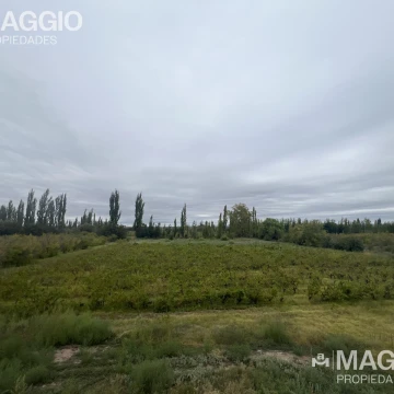 Bodega Venta Cañada Seca San Rafael Mendoza
