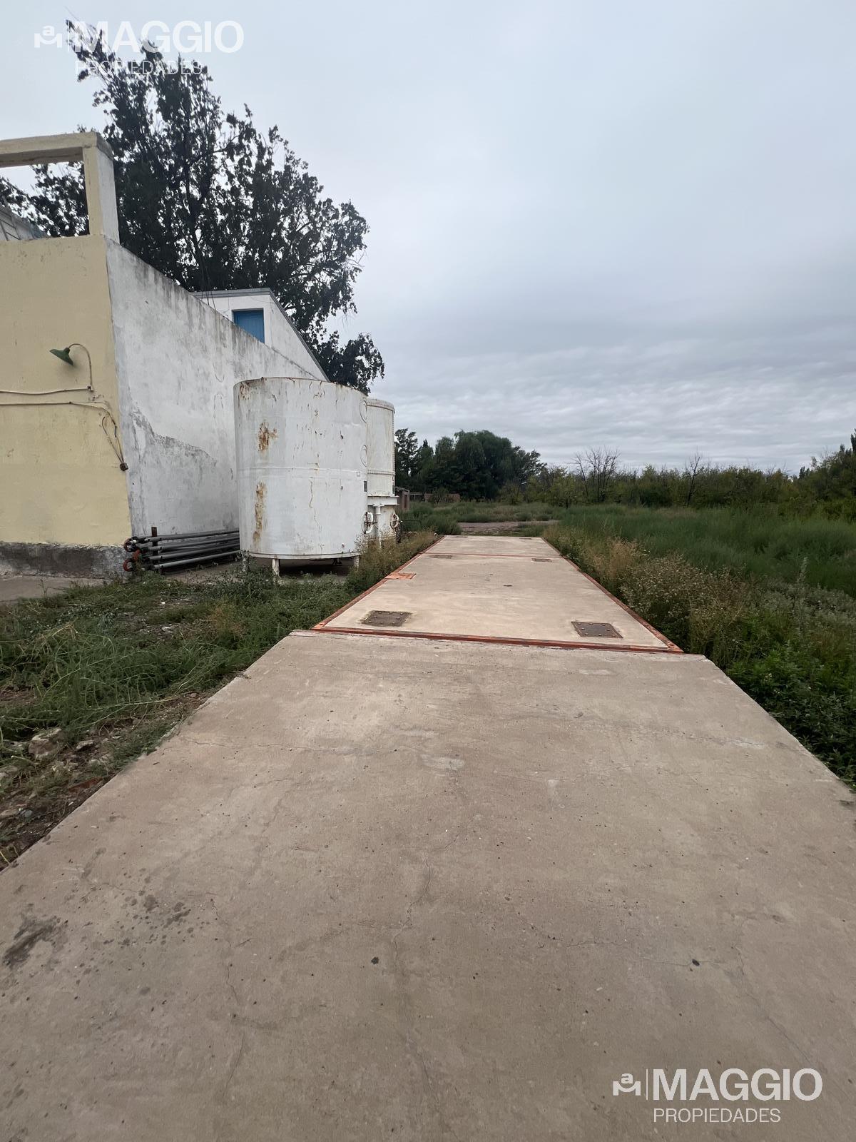 image 18