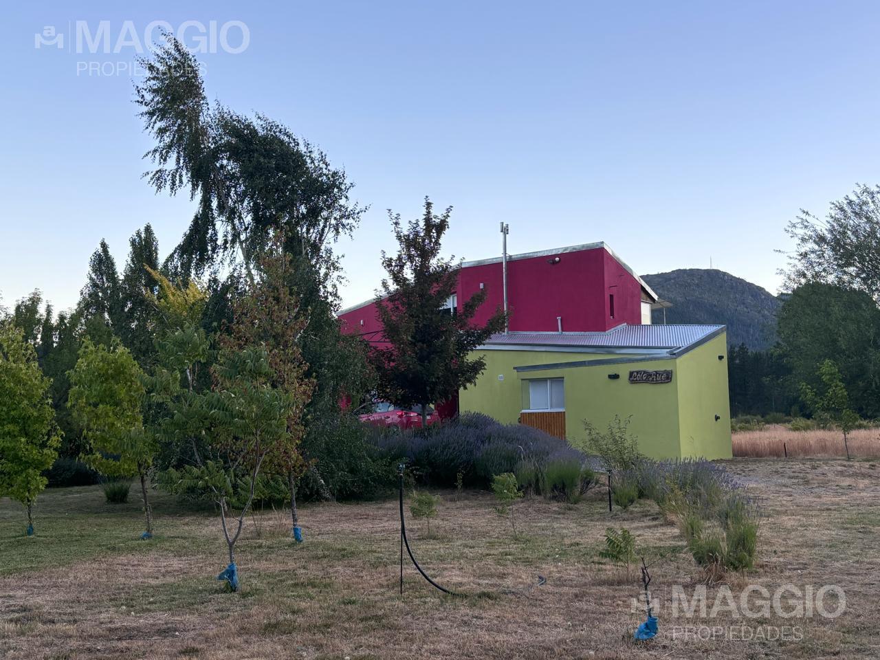image 35