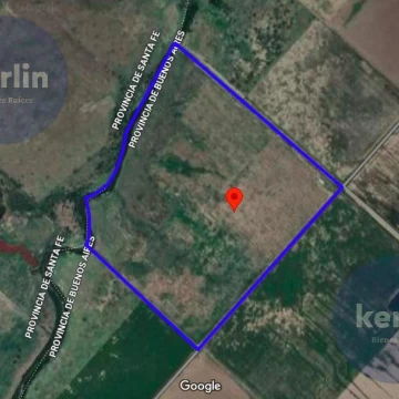 1774541474.jpg