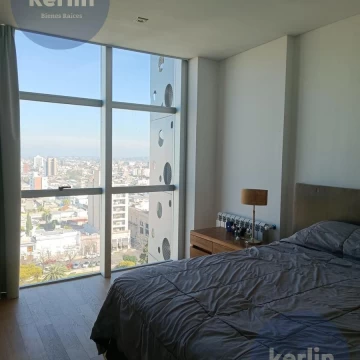1774541599.jpg